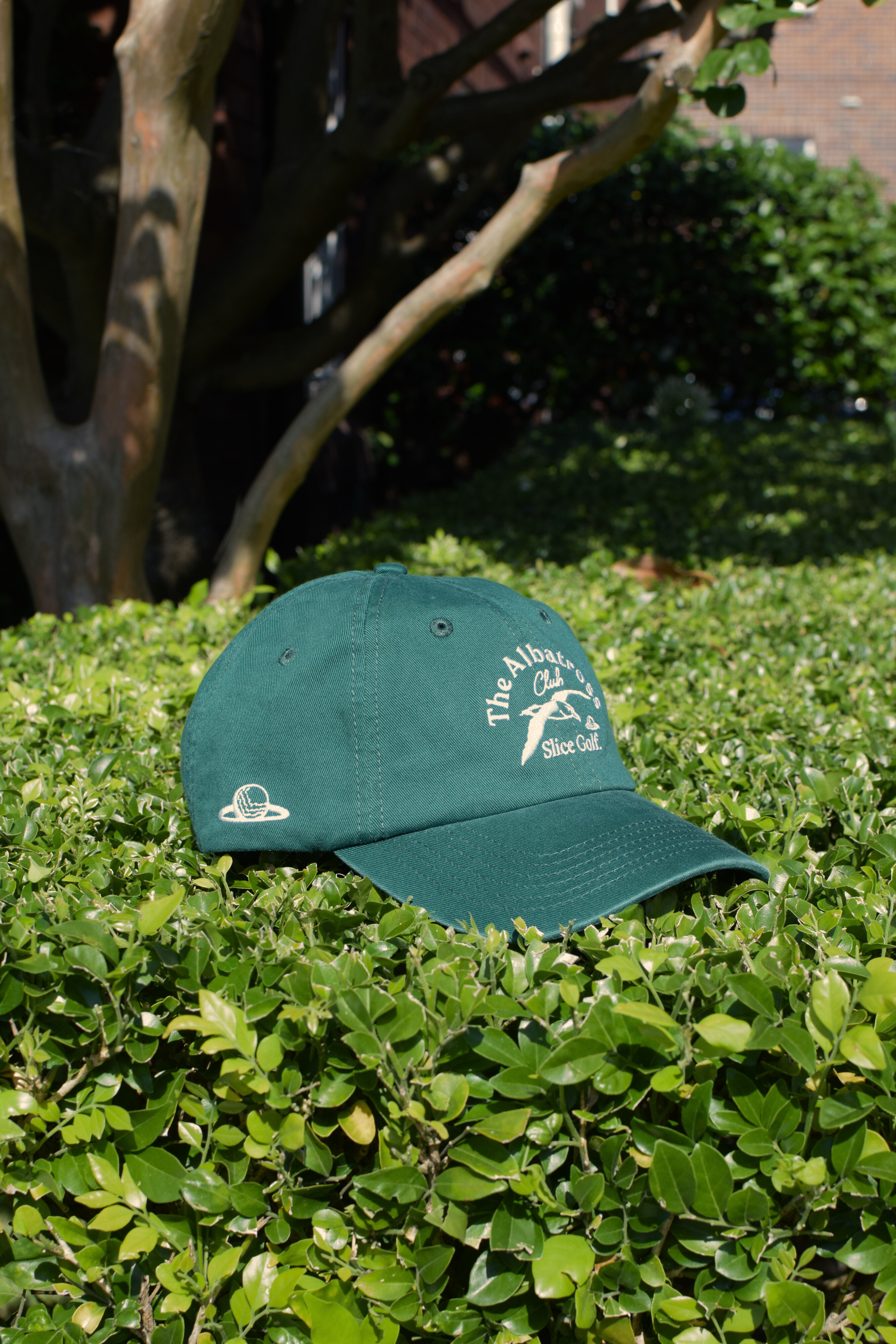 The Albatross Club Cap - Green