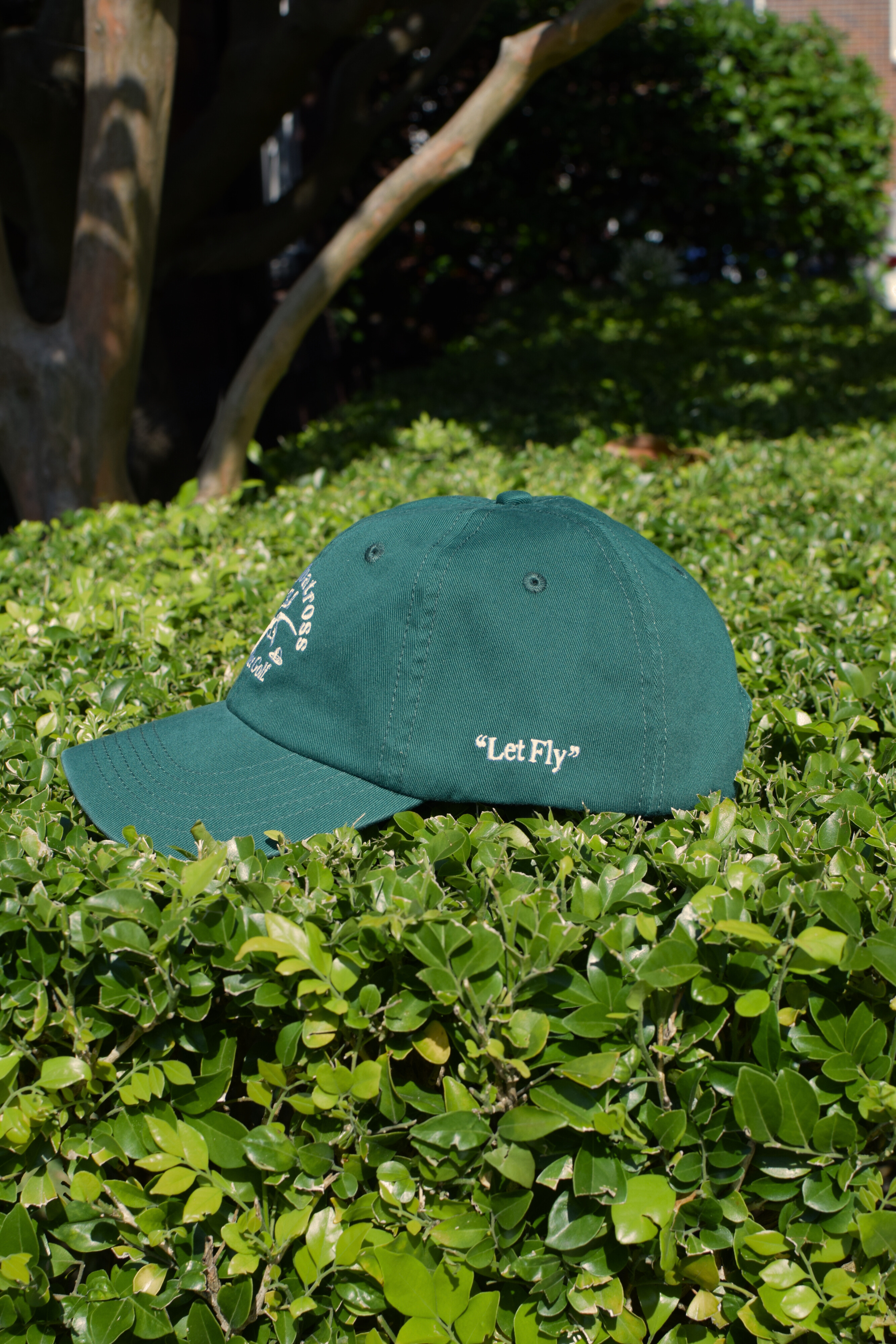 The Albatross Club Cap - Green