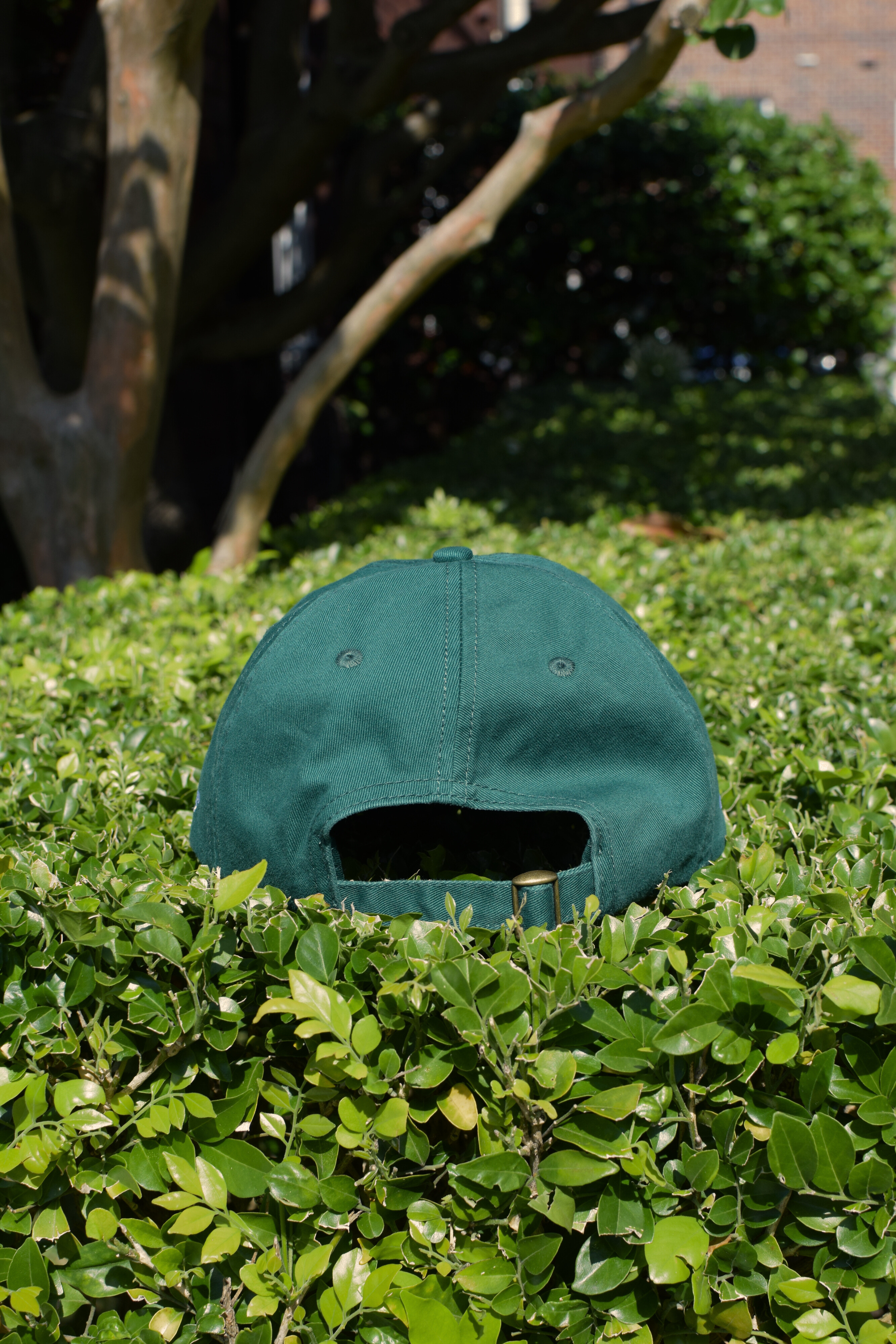 The Albatross Club Cap - Green