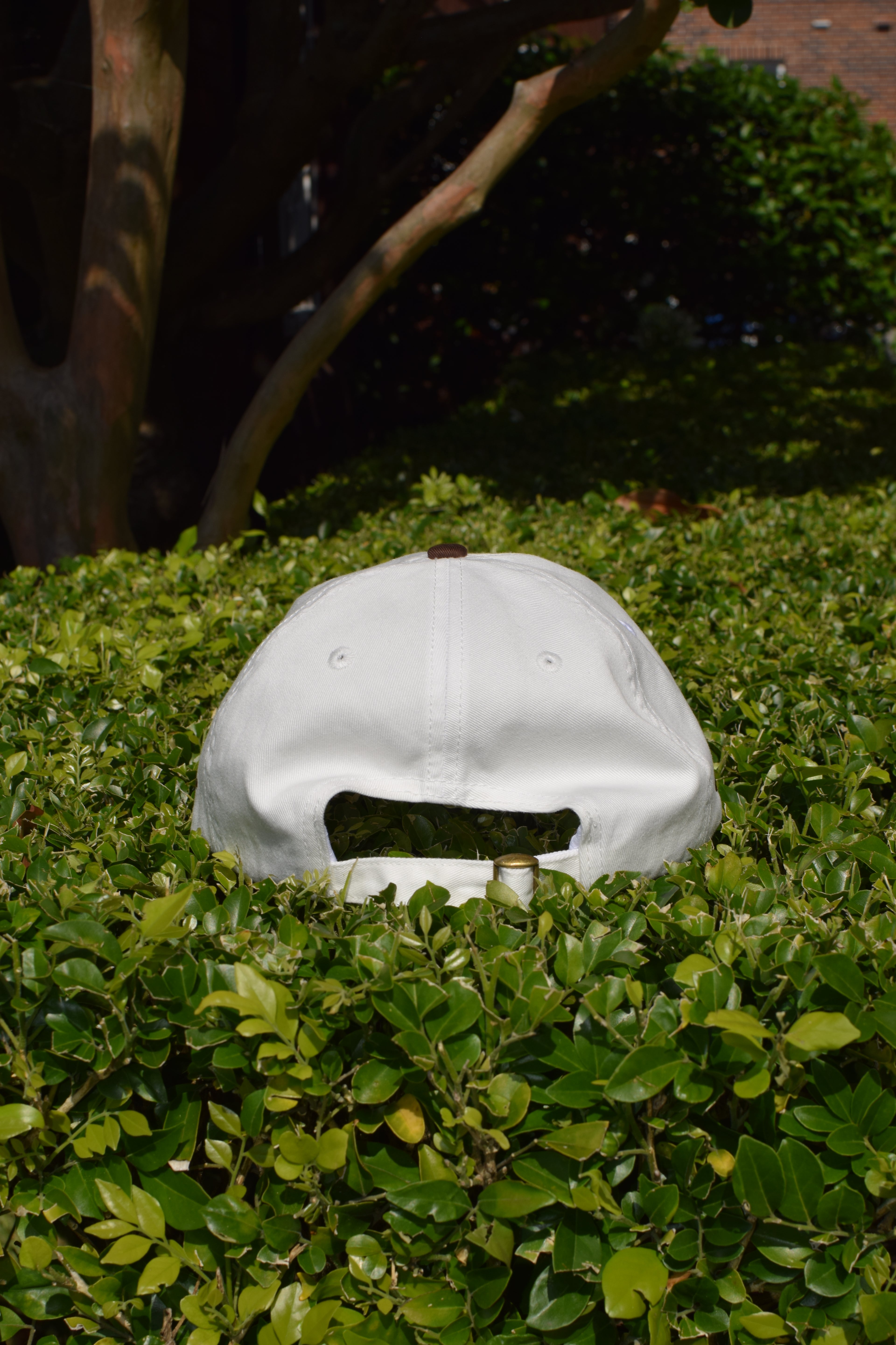 The Albatross Club Cap - White/Brown