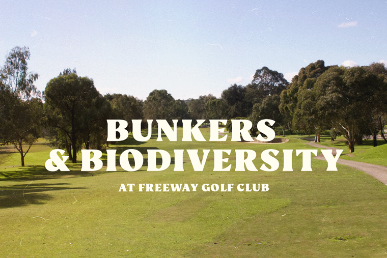 Freeway Golf Course: Bunkers & Biodiversity