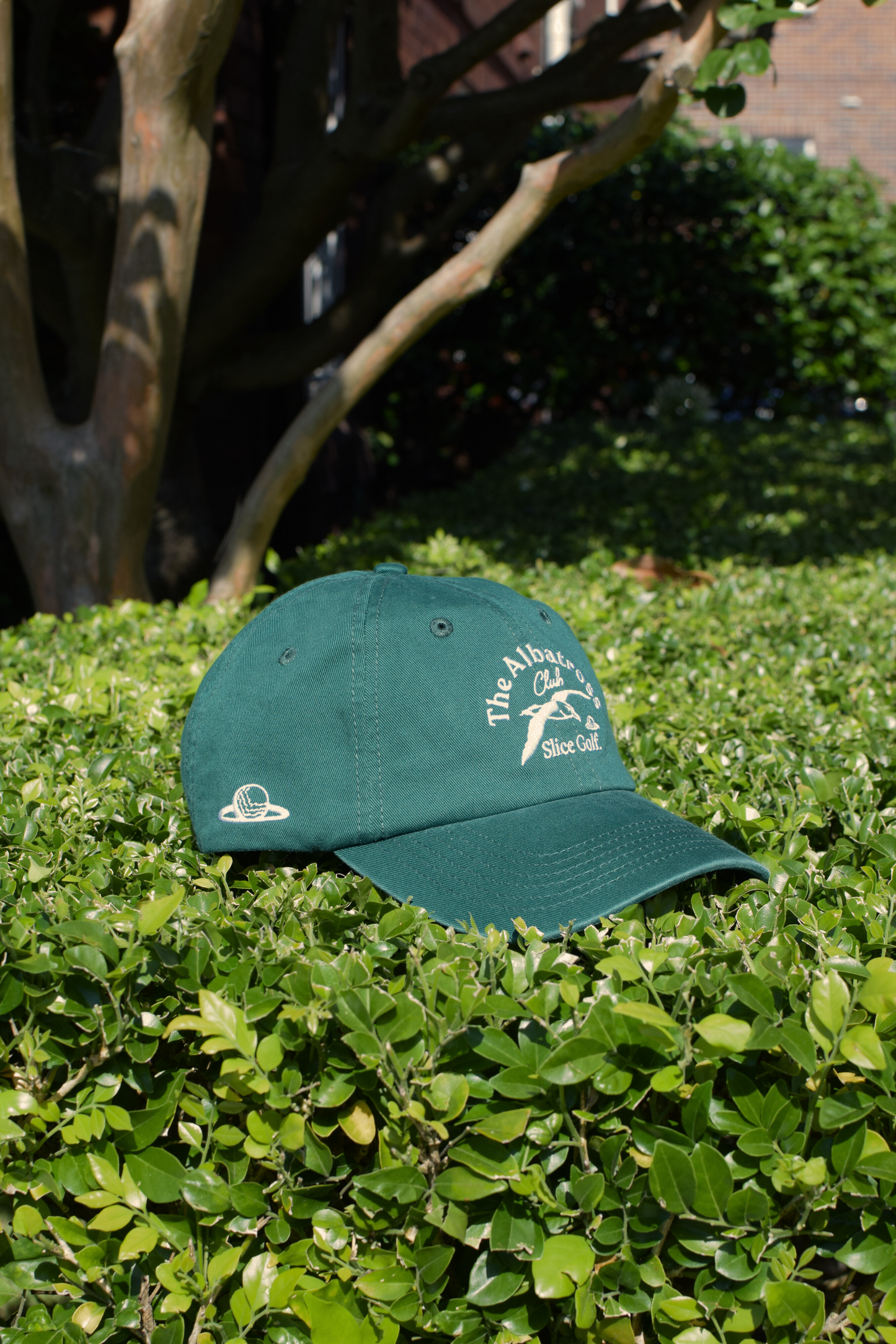 The Club Cap - Green