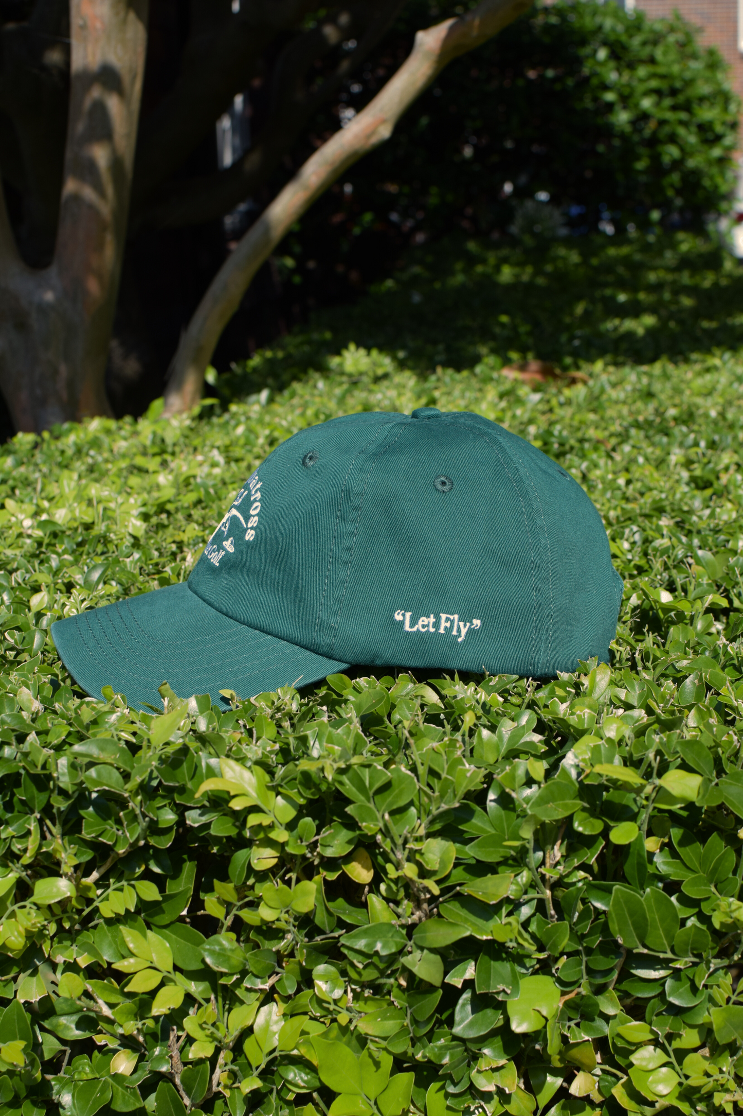 The Club Cap - Green