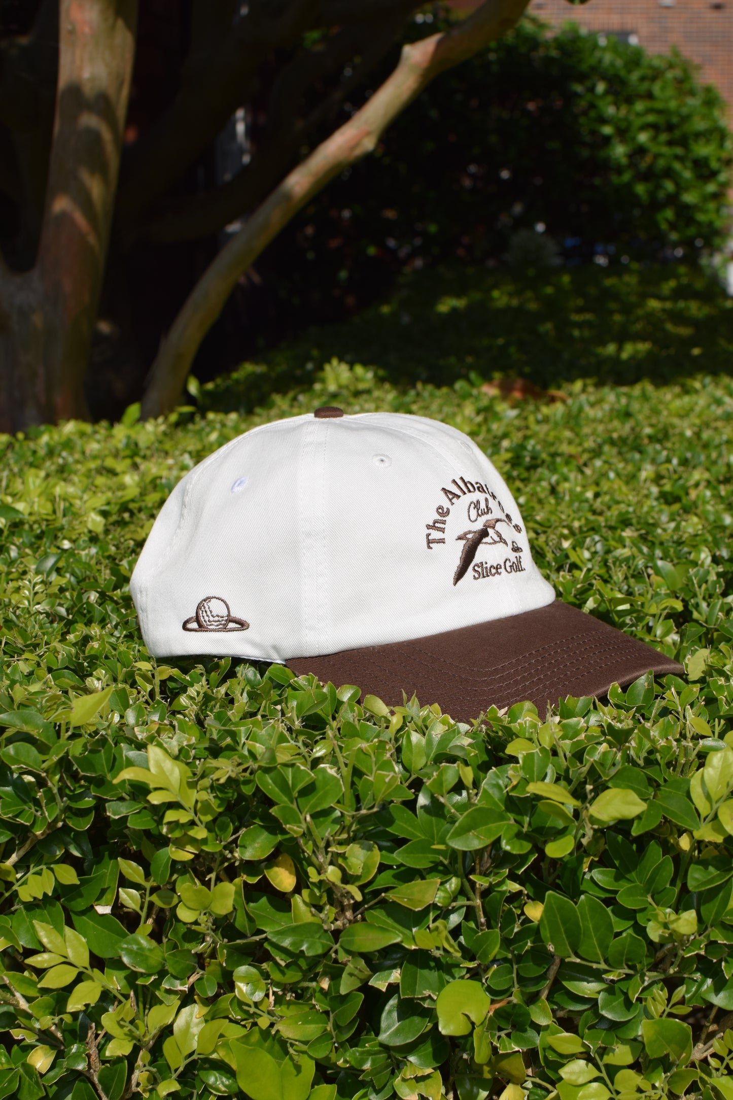 The Club Cap - White/Brown