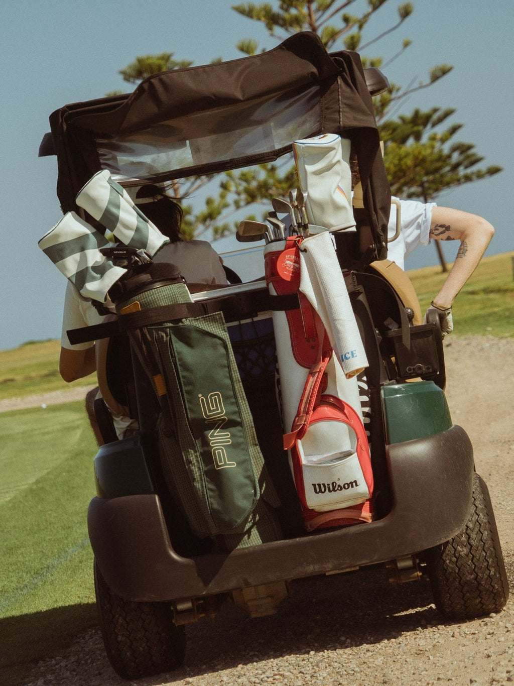 Driver head cover in white and green on the back of a golf buggy